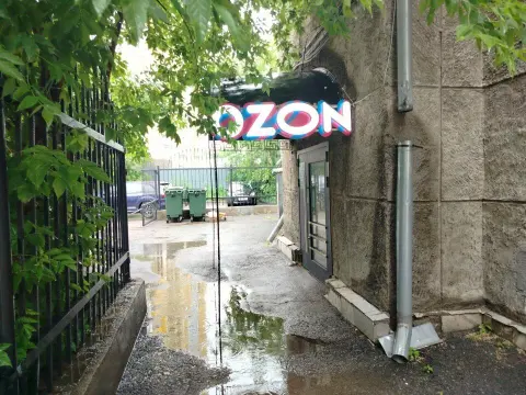Lisova studio