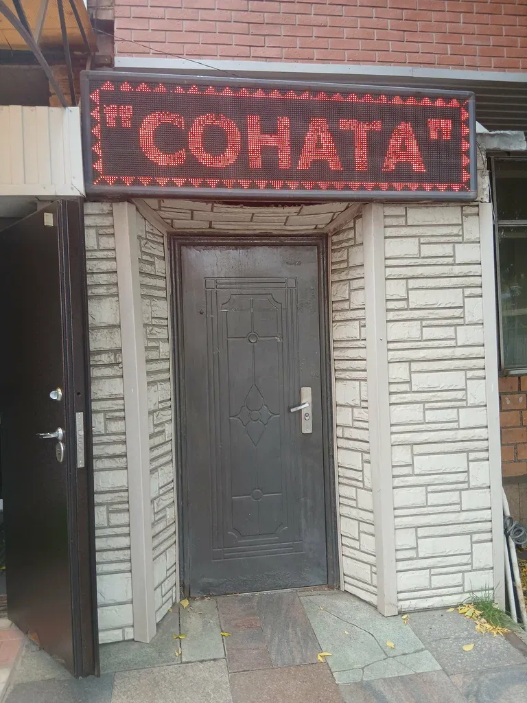 Соната — фото 3