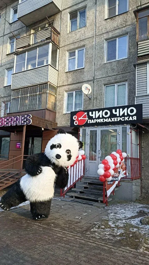 Чио Чио — фото 2