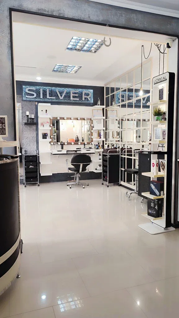 Silver studio — фото 3