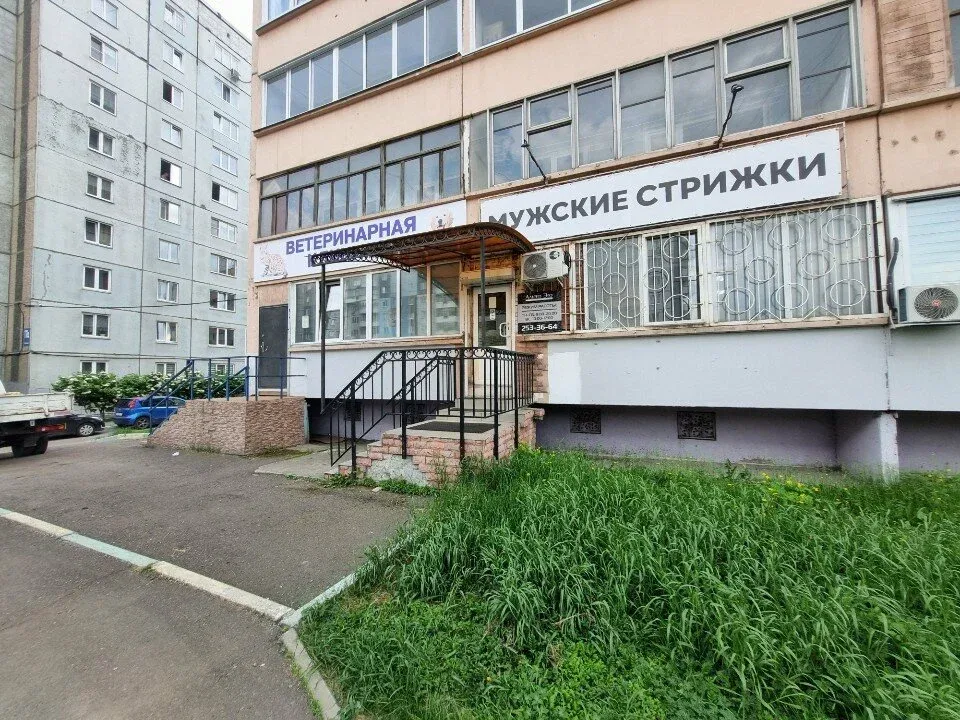 Альтер Эго — фото 3