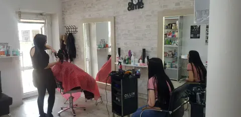 Ollin Professional
