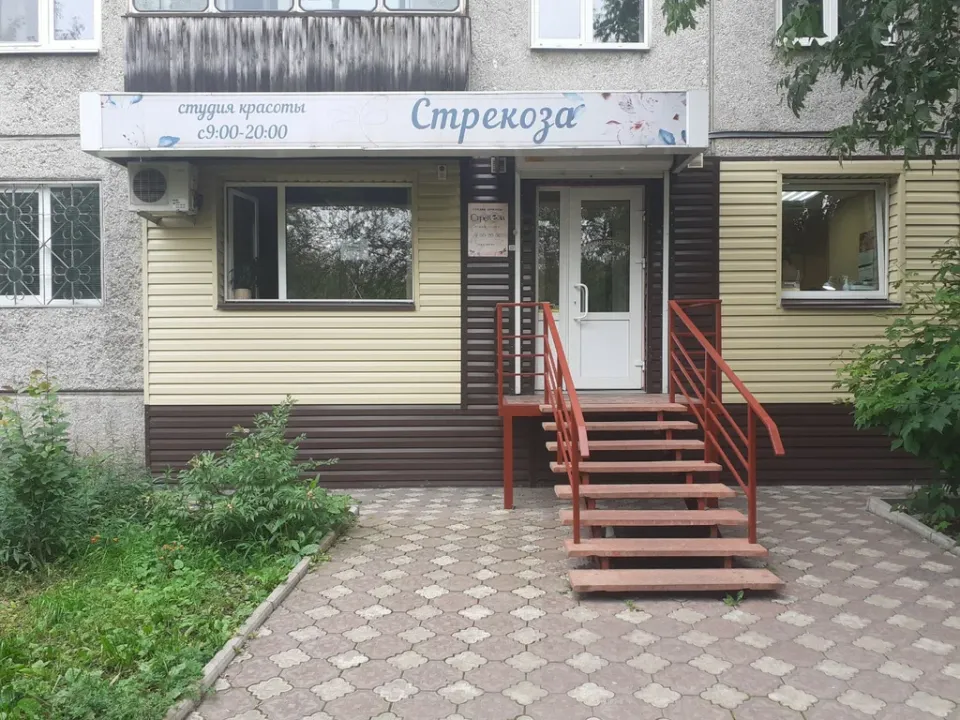 Стрекоза — фото 2