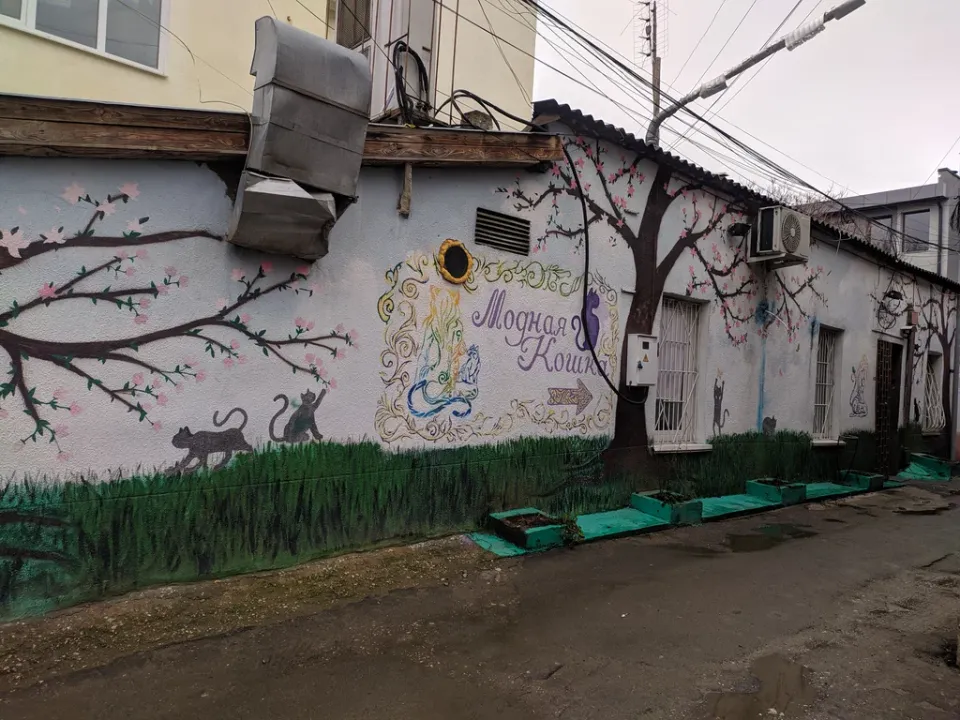 Модная Кошка — фото 3