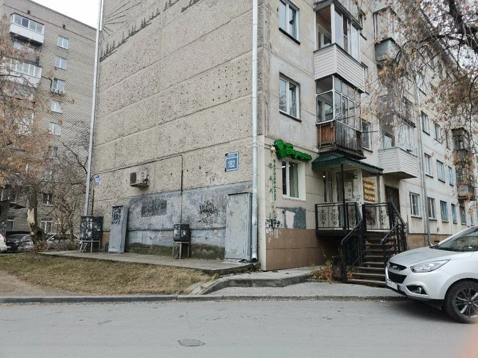 Березка — фото 6