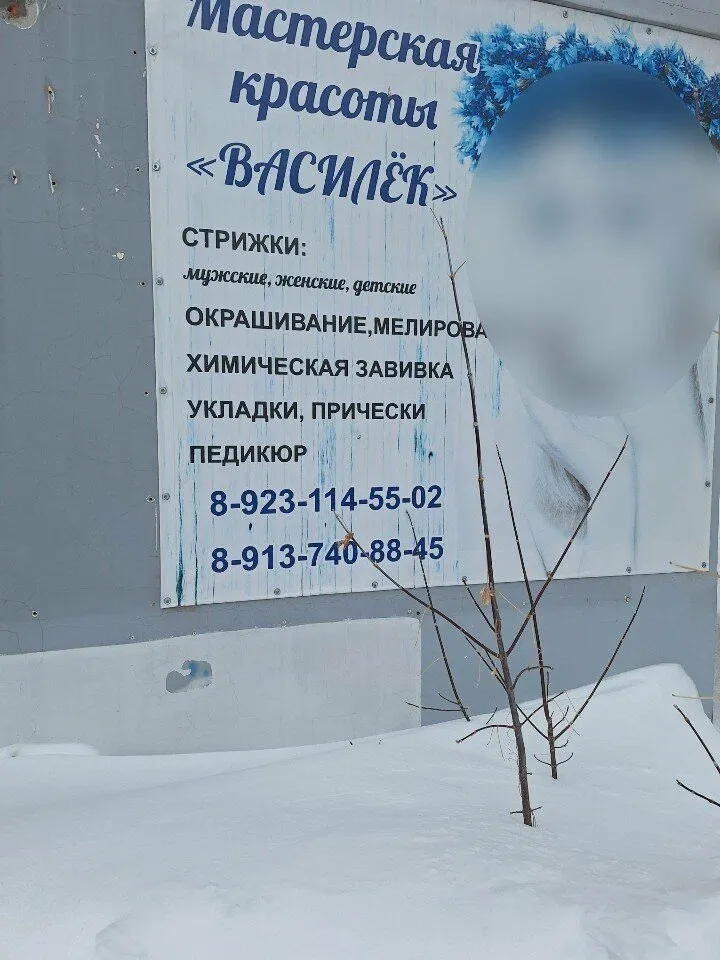 Василёк — фото 3