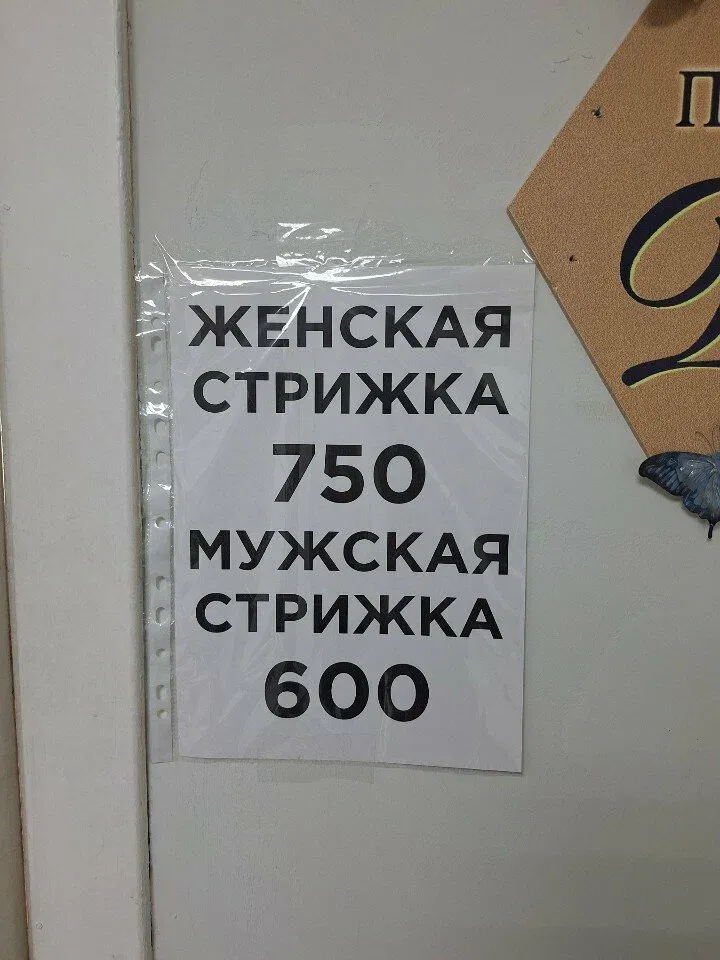 Василёк — фото 5