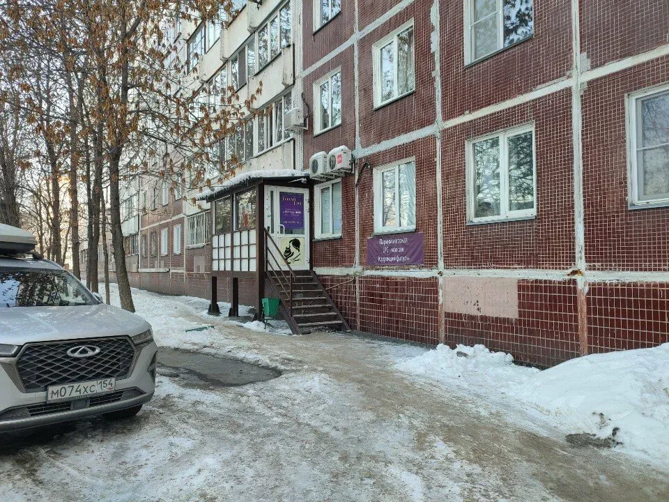Галла Тэя — фото 3