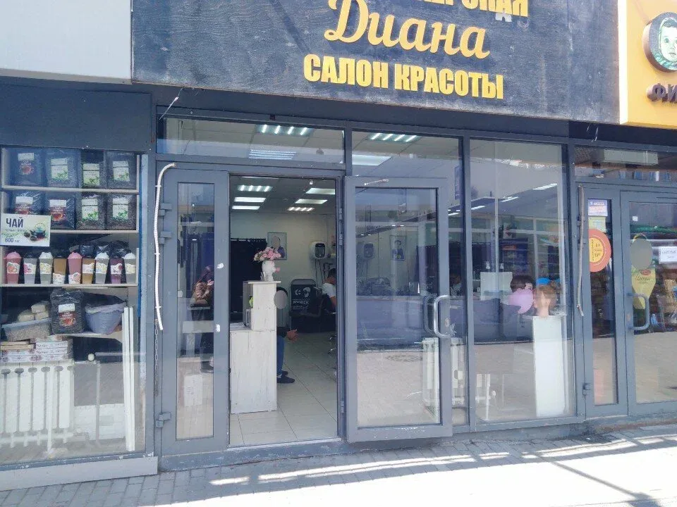 Диана — фото 2