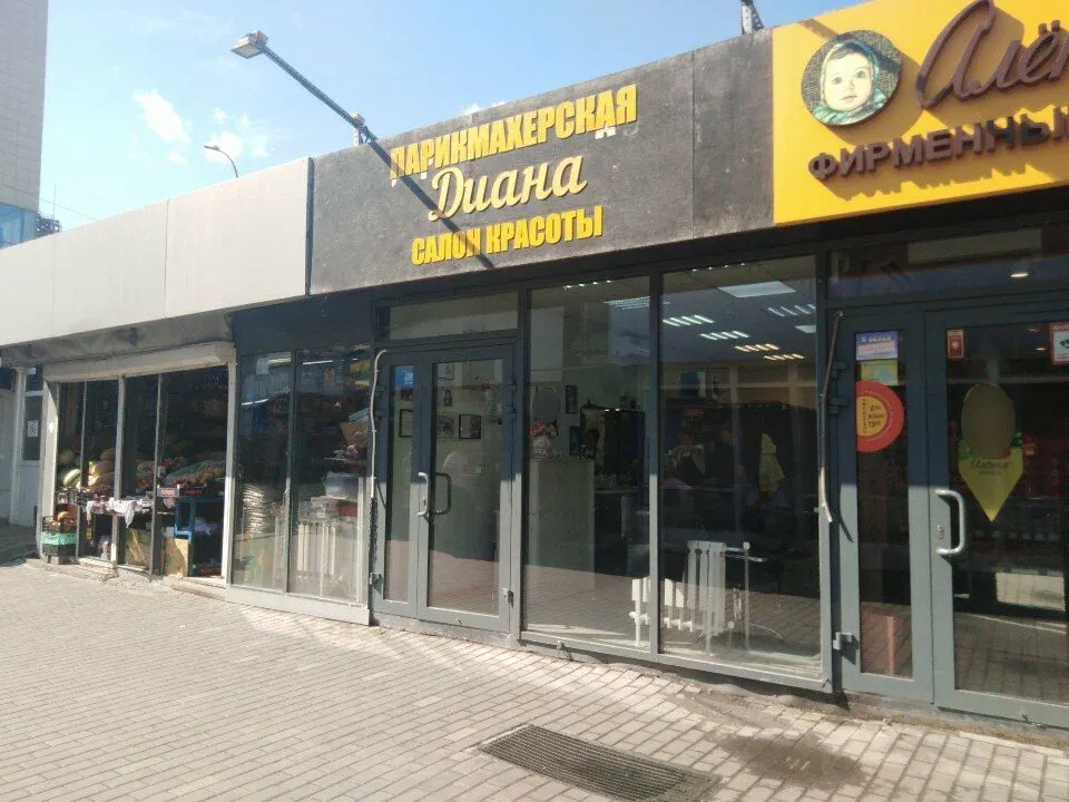 Диана — фото 4
