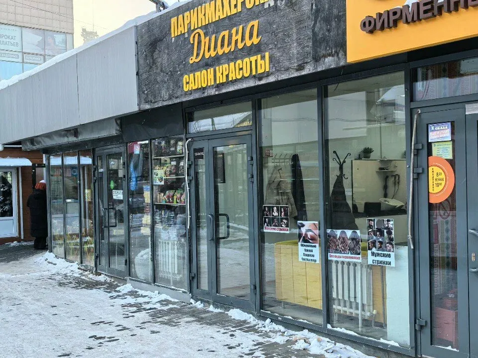 Диана — фото 6