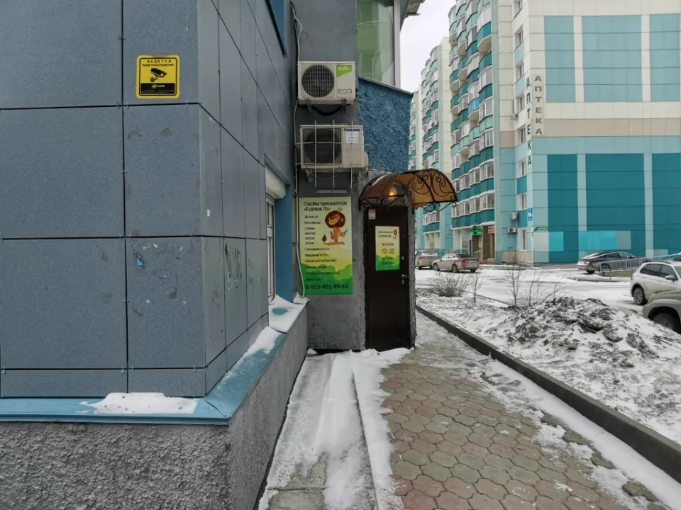 Кудрявый Лев — фото 3