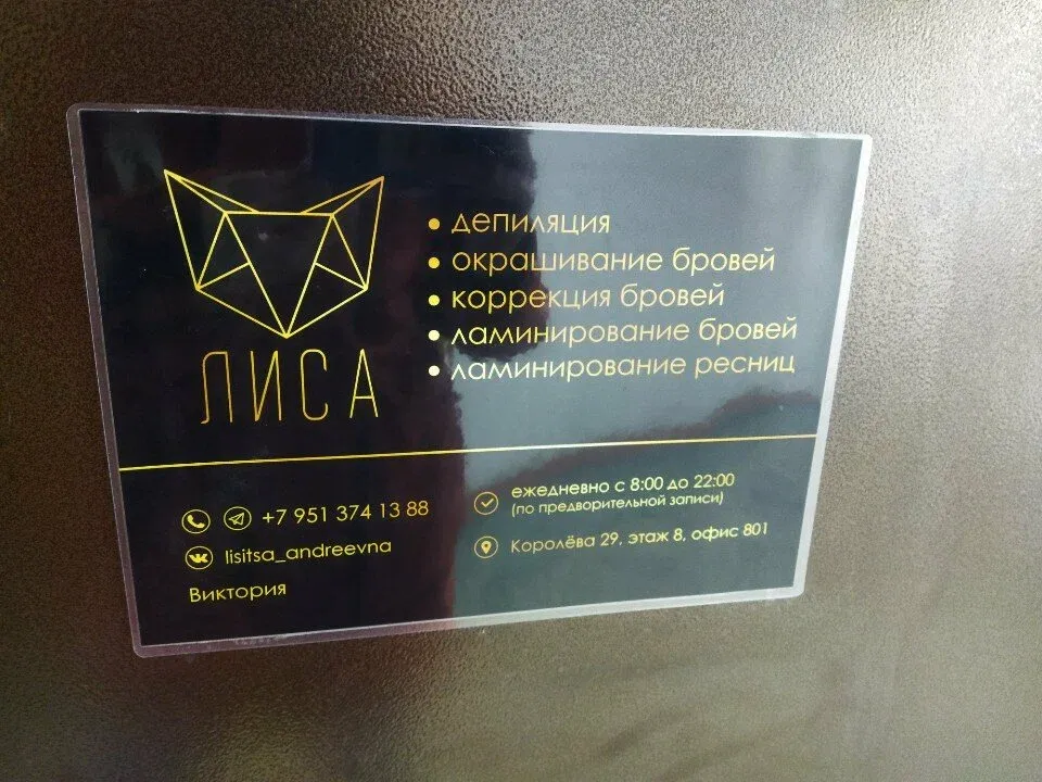 Лиса — фото 2