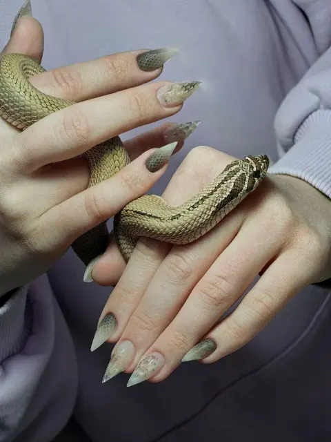 Мк-студия