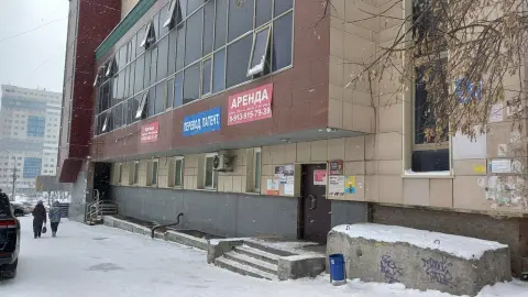 Мята