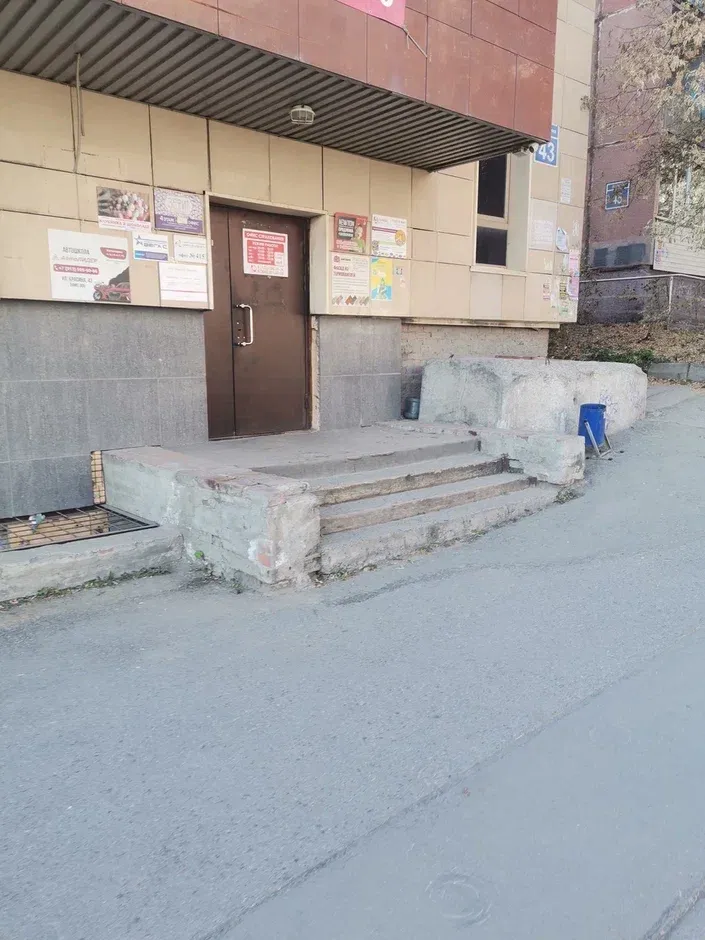 Мята — фото 6