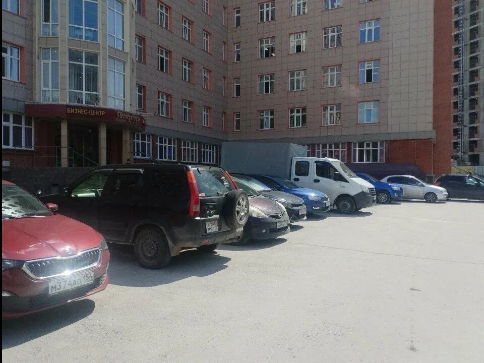 Мятная Роза — фото 6