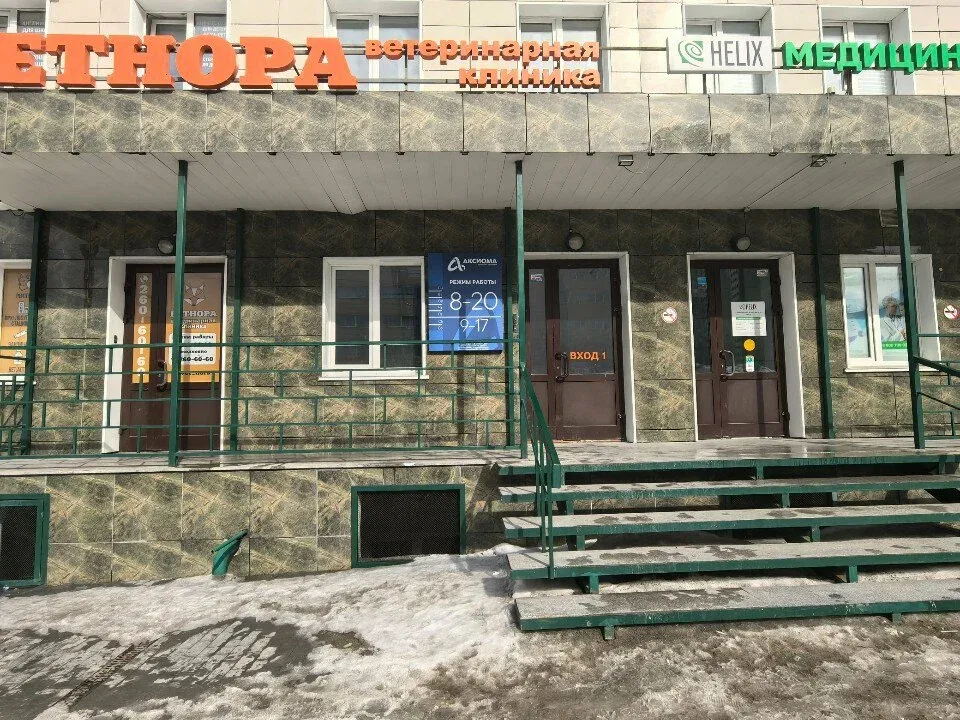 Ногтевая студия — фото 6