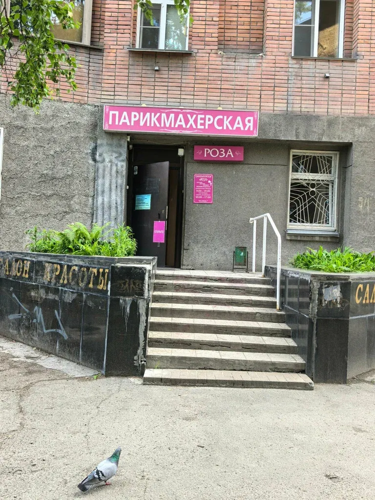 Роза — фото 2