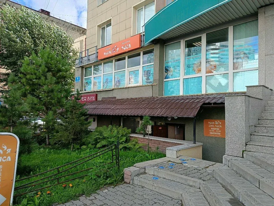 Рыжая Лиса — фото 2