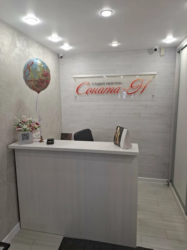 Соната-Н — фото 2