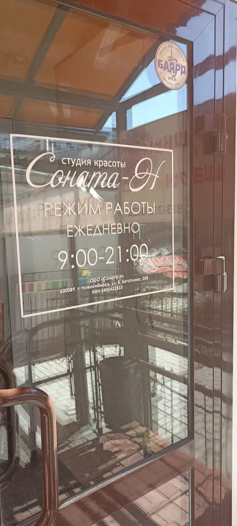 Соната-Н — фото 4