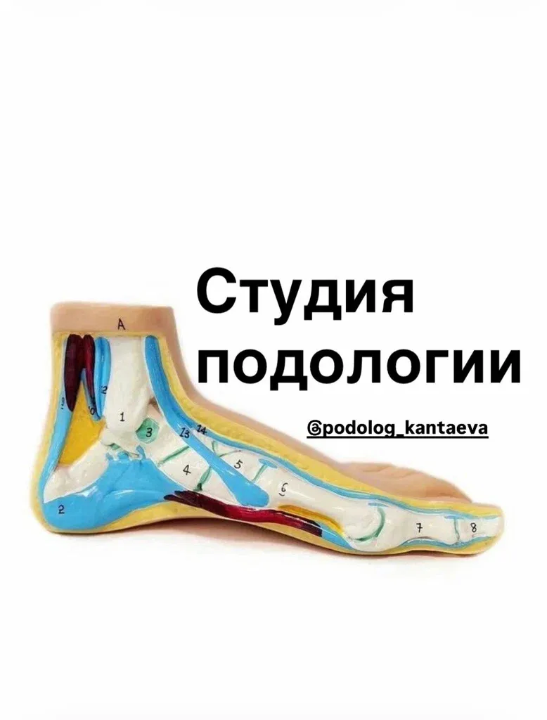 Студия подологии — фото 3