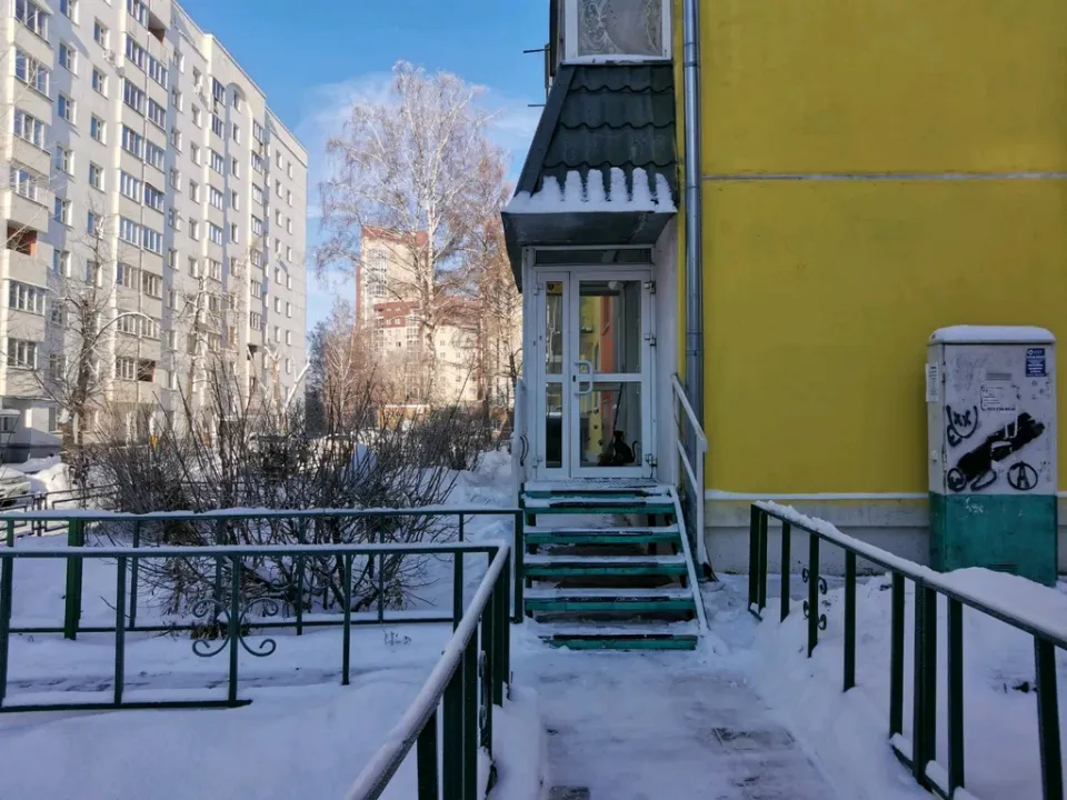 Черная кошка — фото 2