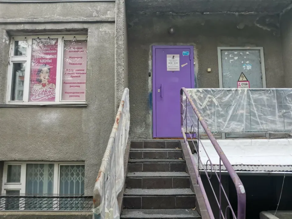 Черника — фото 4
