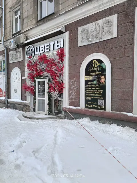 Элизэ