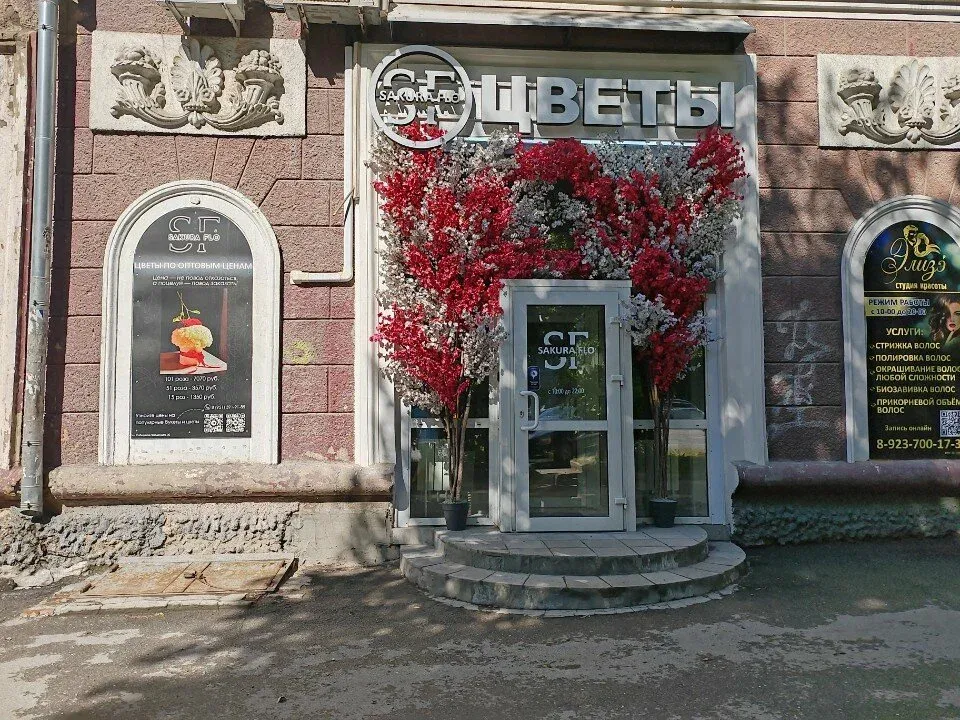 Элизэ — фото 5