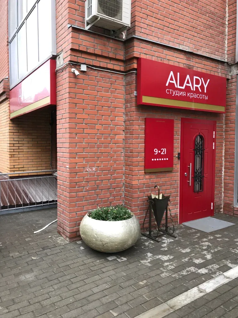 Alary — фото 2