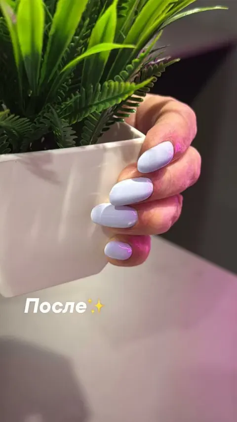 Aleshka. beauty