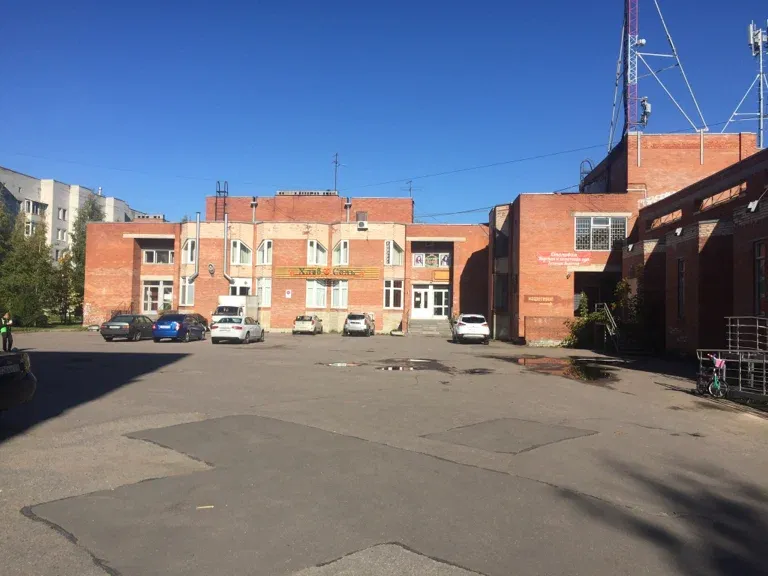 Алиса — фото 4