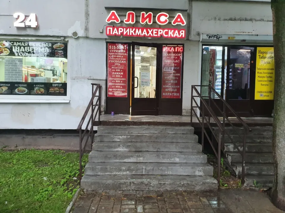Алиса — фото 2