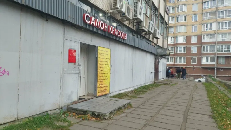 Арфа — фото 4