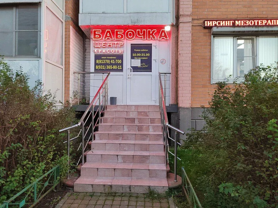 Бабочка — фото 2