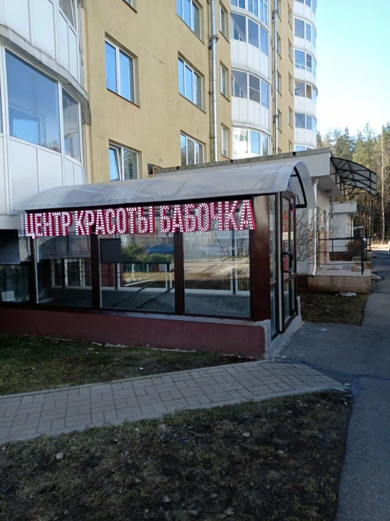 Бабочка — фото 2
