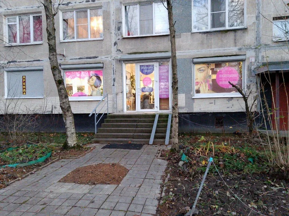 Белла — фото 2