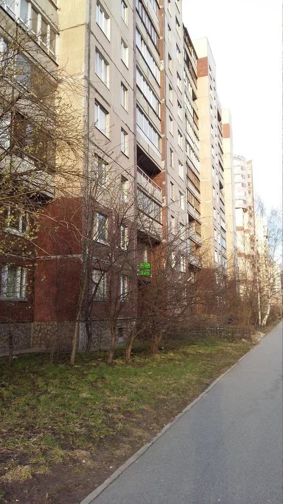 Берёзка — фото 3