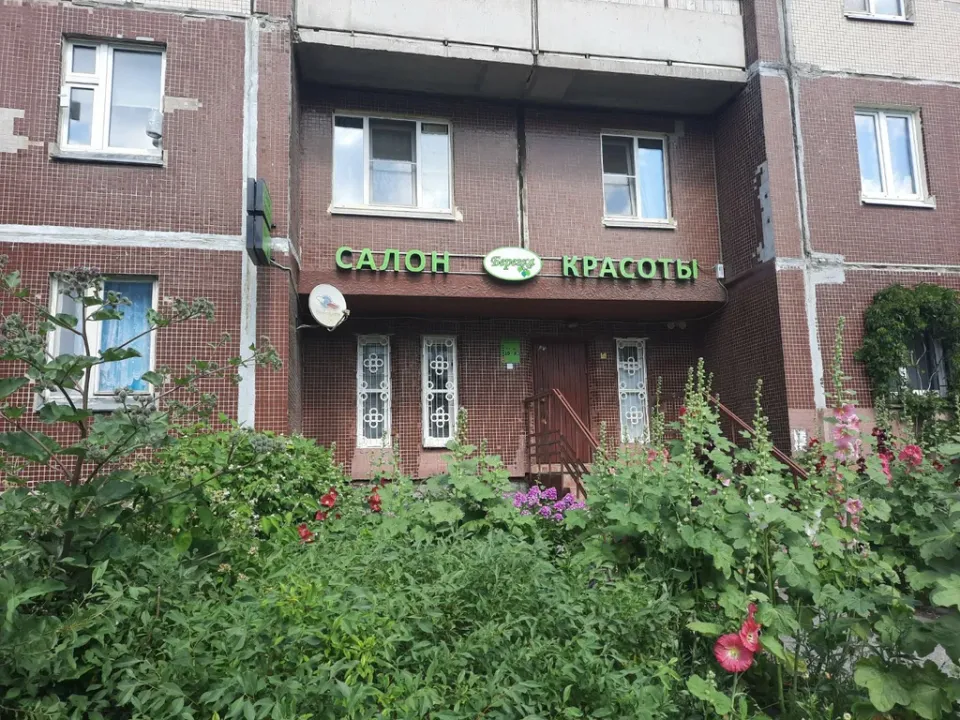 Берёзка — фото 5