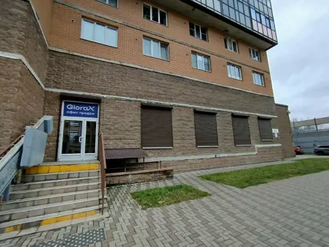 Бровист Гусарова А.