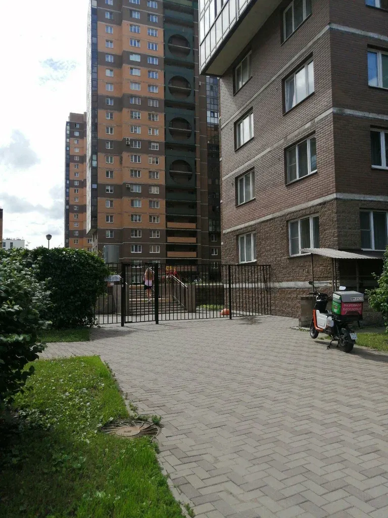Бровист Гусарова А. — фото 6