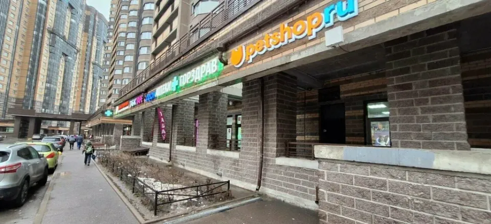 Ведьма — фото 2