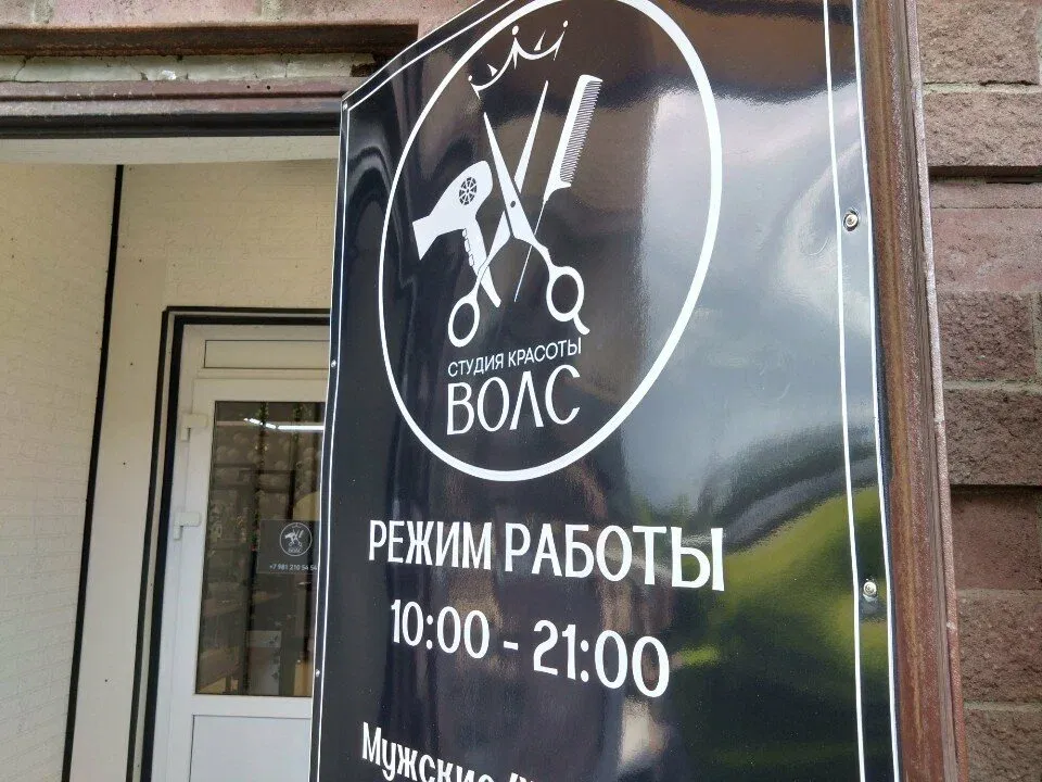Волс — фото 4