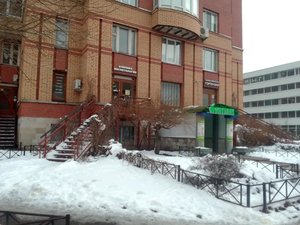 Гортензия — фото 5