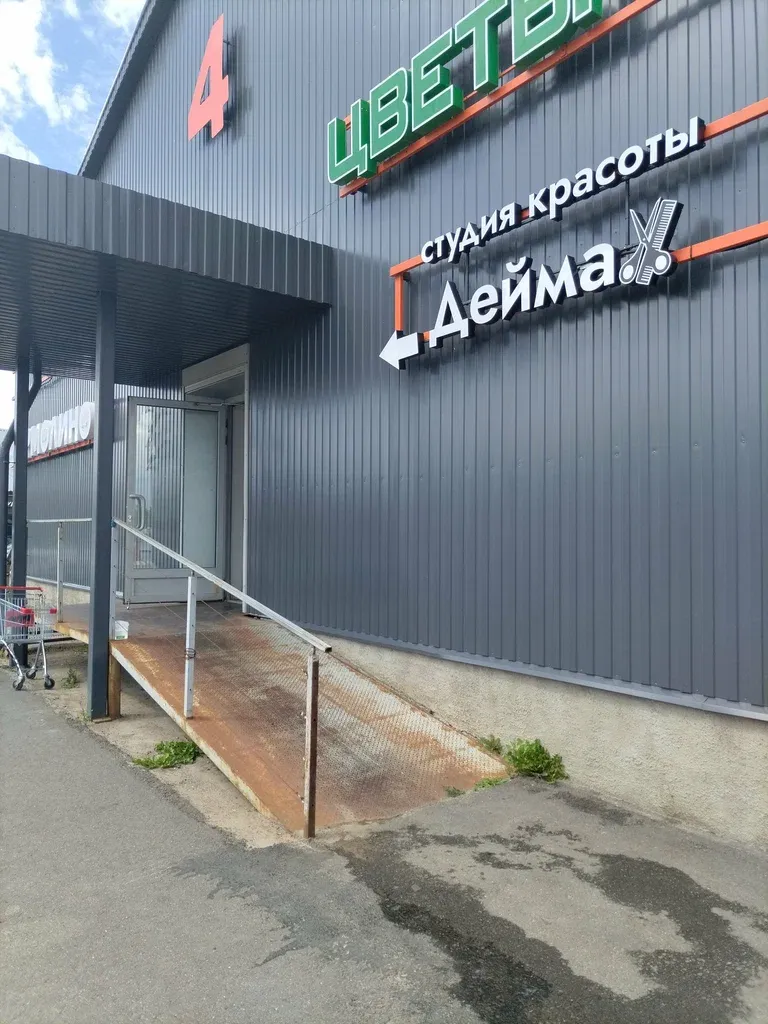 Дейма — фото 4