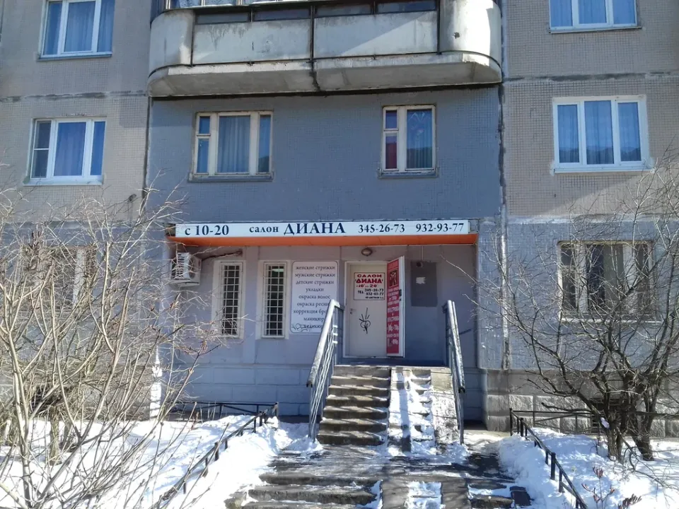 Диана — фото 1