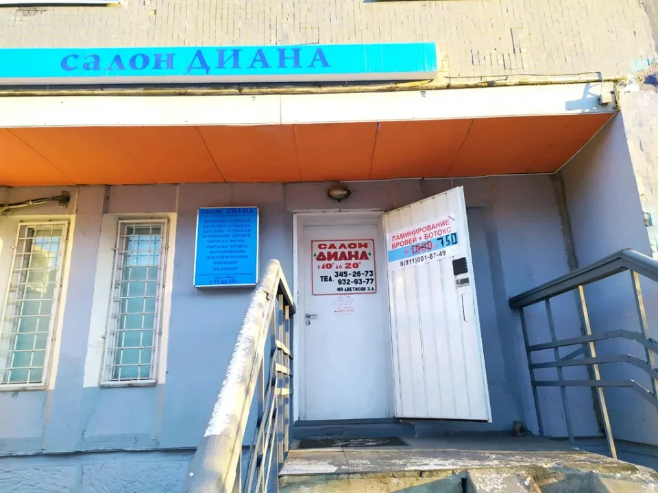 Диана — фото 2