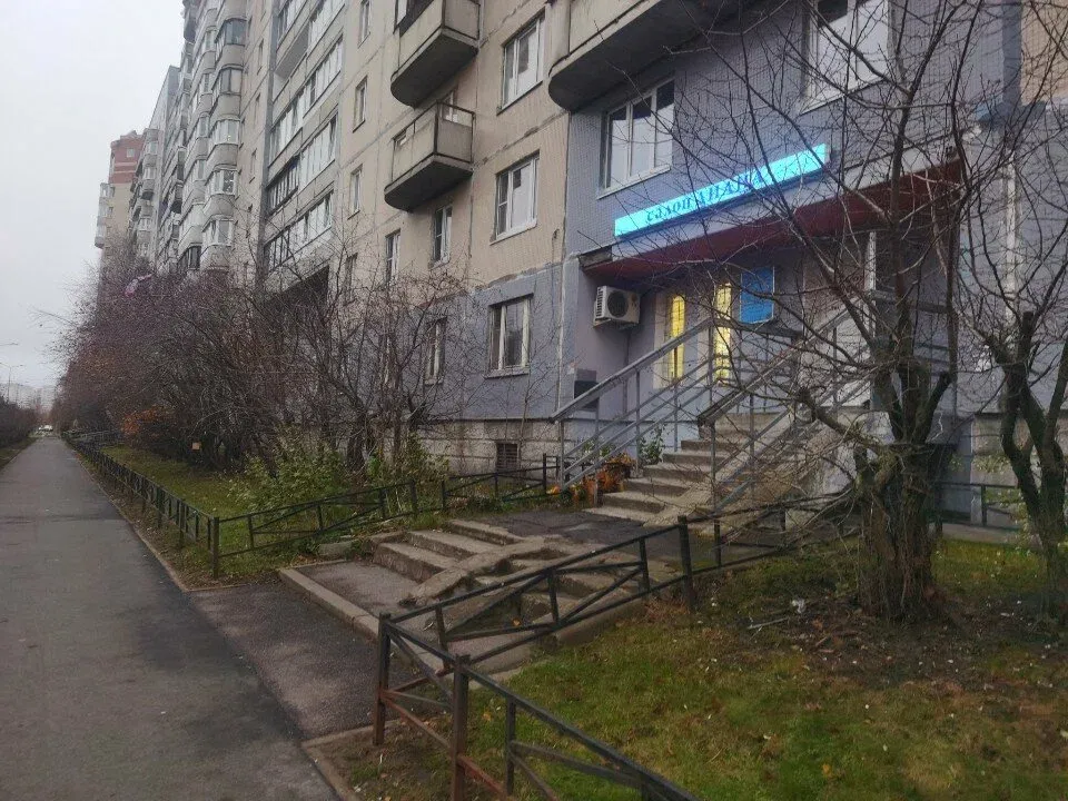 Диана — фото 3